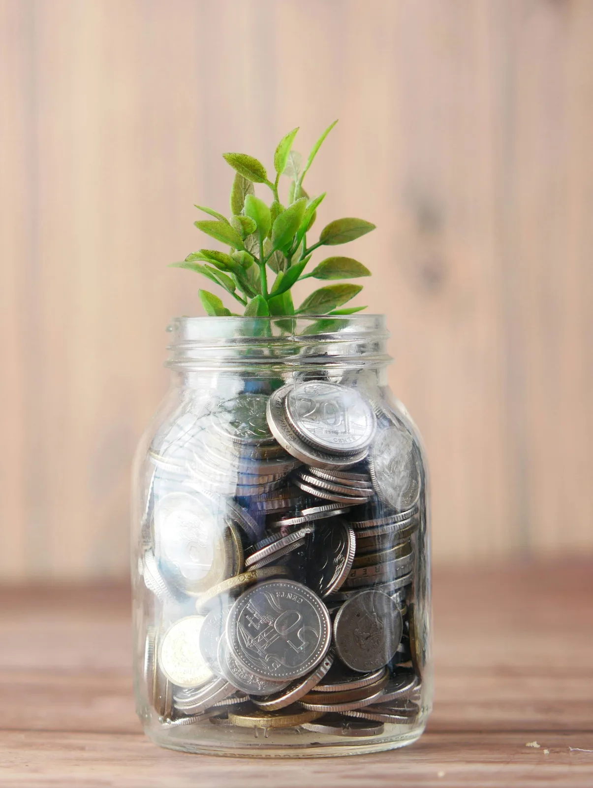 Was gilt alles als Eigenkapital? Mögliche Optionen sowie  Risiko- und Chancenbewertung